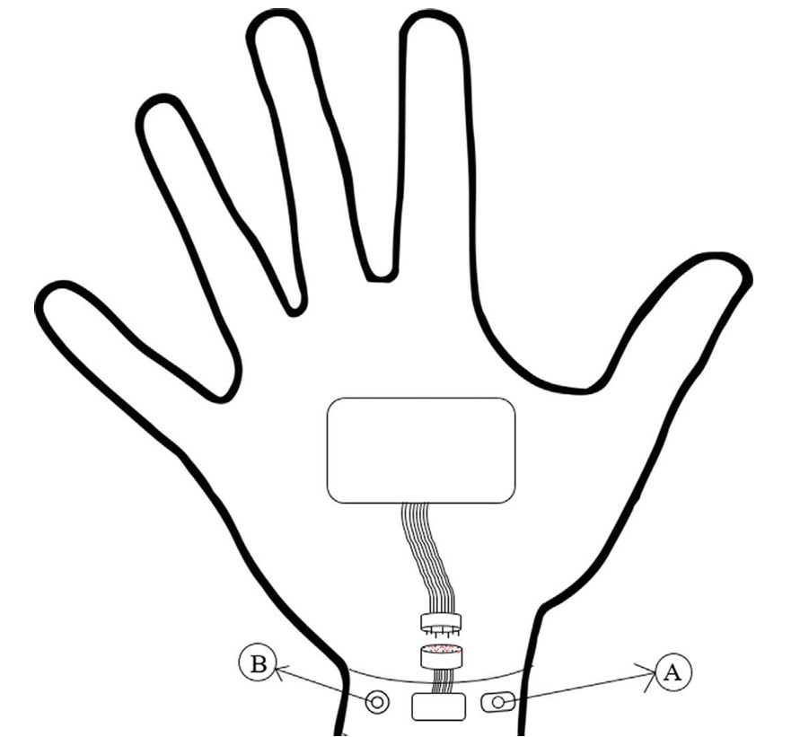 Glove 2D Design